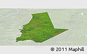 Satellite Panoramic Map of Pytalovskiy, lighten
