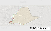 Shaded Relief Panoramic Map of Pytalovskiy, lighten, semi-desaturated