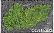 Satellite 3D Map of Burzyanskiy, desaturated