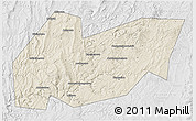 Shaded Relief 3D Map of Burzyanskiy, lighten, desaturated