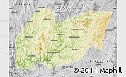 Physical Map of Burzyanskiy, desaturated