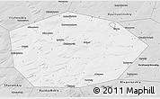 Silver Style 3D Map of Chekmagushevskiy