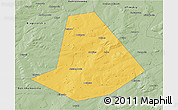 Savanna Style 3D Map of Chishminskiy