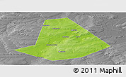 Physical Panoramic Map of Chishminskiy, desaturated