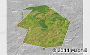 Satellite 3D Map of Dyurtyulinskiy, lighten, desaturated