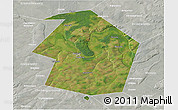 Satellite 3D Map of Dyurtyulinskiy, lighten, semi-desaturated