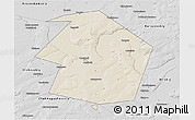 Shaded Relief 3D Map of Dyurtyulinskiy, desaturated