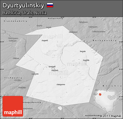 Gray Map of Dyurtyulinskiy