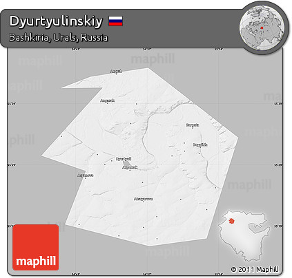 Gray Map of Dyurtyulinskiy, single color outside