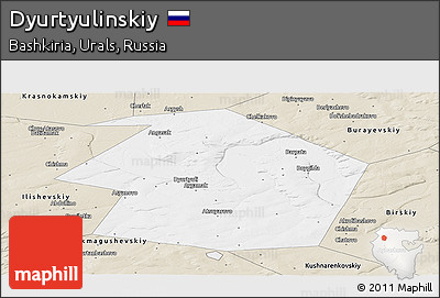 Classic Style Panoramic Map of Dyurtyulinskiy