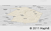 Shaded Relief Panoramic Map of Dyurtyulinskiy, desaturated