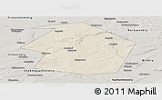 Shaded Relief Panoramic Map of Dyurtyulinskiy, semi-desaturated