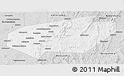 Silver Style Panoramic Map of Ishimbaysky