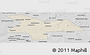 Shaded Relief Panoramic Map of Kushnarenkovskiy, desaturated