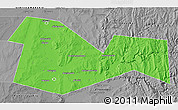 Political 3D Map of Meleuzskiy, desaturated