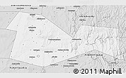 Silver Style 3D Map of Meleuzskiy