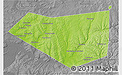 Physical 3D Map of Mishkinskiy, desaturated