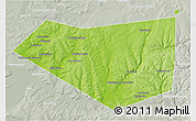 Physical 3D Map of Mishkinskiy, lighten, semi-desaturated