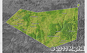 Satellite 3D Map of Mishkinskiy, desaturated