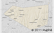 Shaded Relief 3D Map of Mishkinskiy, desaturated