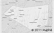Silver Style 3D Map of Mishkinskiy