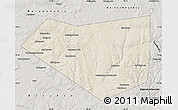 Shaded Relief Map of Mishkinskiy, semi-desaturated