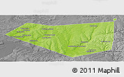 Physical Panoramic Map of Mishkinskiy, desaturated