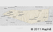 Shaded Relief Panoramic Map of Mishkinskiy, desaturated