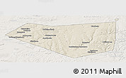 Shaded Relief Panoramic Map of Mishkinskiy, lighten