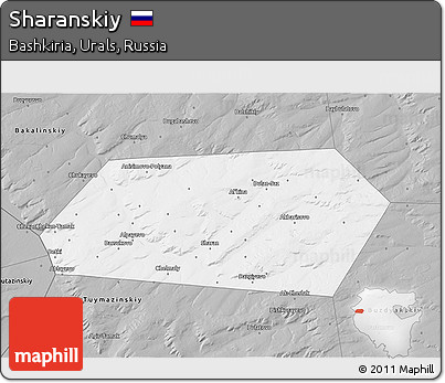 Gray 3D Map of Sharanskiy
