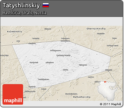 Classic Style 3D Map of Tatyshlinskiy