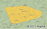 Savanna Style 3D Map of Tatyshlinskiy