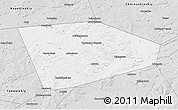 Silver Style 3D Map of Tatyshlinskiy
