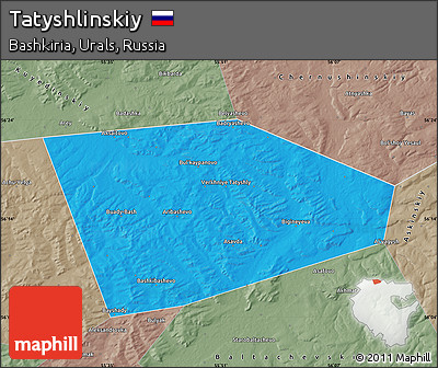 Political Map of Tatyshlinskiy, semi-desaturated