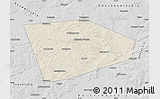 Shaded Relief Map of Tatyshlinskiy, desaturated