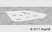Gray Panoramic Map of Tatyshlinskiy