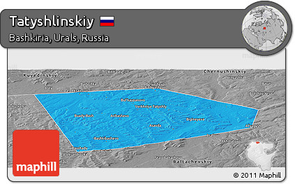 Political Panoramic Map of Tatyshlinskiy, desaturated