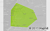 Physical 3D Map of Pritobolnyi, lighten, desaturated