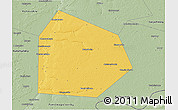 Savanna Style 3D Map of Pritobolnyi