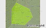 Physical Map of Pritobolnyi, semi-desaturated
