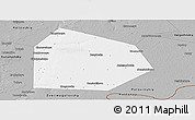 Gray Panoramic Map of Pritobolnyi