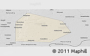 Shaded Relief Panoramic Map of Pritobolnyi, desaturated