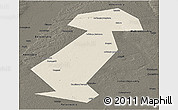 Shaded Relief Panoramic Map of Vargashinskiy, darken