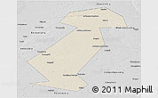 Shaded Relief Panoramic Map of Vargashinskiy, desaturated