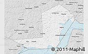 Silver Style 3D Map of Chastinskiy