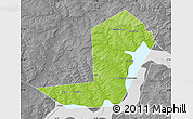Physical Map of Chastinskiy, desaturated
