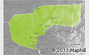 Physical 3D Map of Cherdynskiy, desaturated
