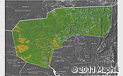 Satellite 3D Map of Cherdynskiy, desaturated