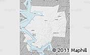 Gray Map of Dobryanskiy