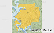 Savanna Style Map of Dobryanskiy
